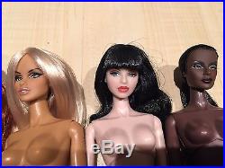 Fashion Royalty Dolls Lot of 6 US and Canada shipping only