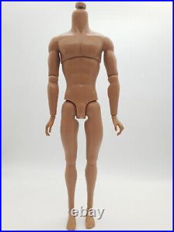 Fashion Royalty Latino Skin Homme1.5 Integrity Toys Articulation Male Doll Body