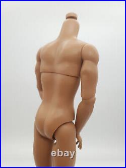 Fashion Royalty Latino Skin Homme1.5 Integrity Toys Articulation Male Doll Body