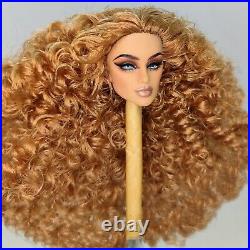 Fashion Royalty OOAK Tatyana Doll Head Integrity Toys Silkstone Barbie